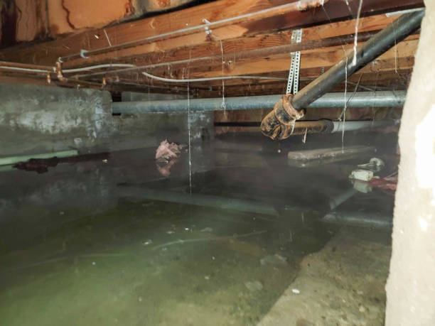 24/7 water damage repair in Hurt, VA