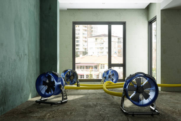 Best Water damage restoration near me  in Hurt, VA